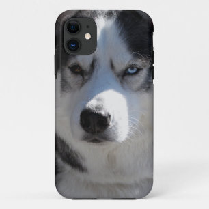 Husky Dog iPhone Fälle Husky Malamute Hüllen