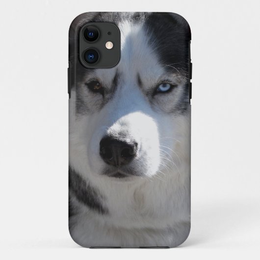 Husky Dog iPhone Fälle Husky Malamute Hüllen (Rückseite)