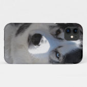 Husky Dog iPhone Fälle Husky Malamute Hüllen (Rückseite (Horizontal))