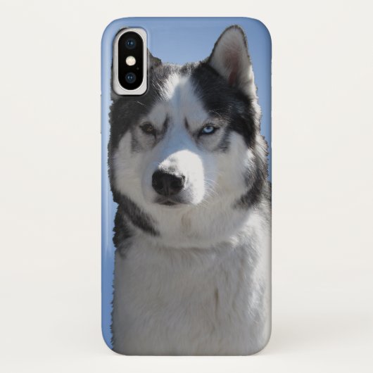 Husky Dog iPhone Fälle Husky Malamute Pup Hüllen (Rückseite)