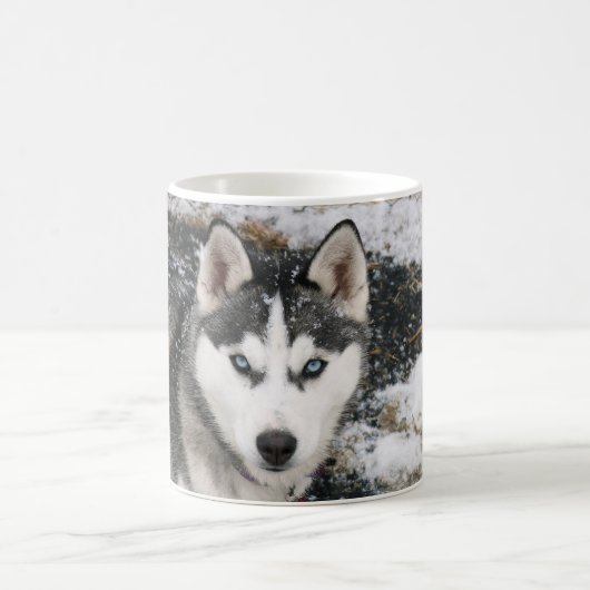 Husky dog kaffeetasse (Mittel)