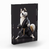 Husky Dog kennt Karate, Husky Dog Karate Player Fotoblock (Links)