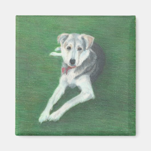 Husky Dog Magnet (Vorne)