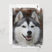 Husky Dog Postcard Postkarte (Vorne/Hinten)
