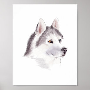 Husky Dog Poster / Tierplakate