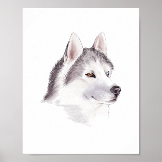 Husky Dog Poster / Tierplakate (Vorne)