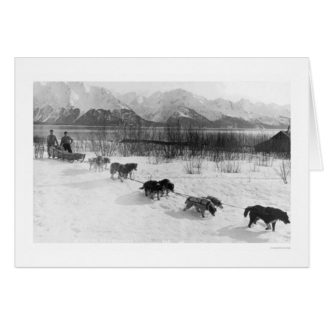 Husky Dog Team Alaska 1918 (Vorderseite (Horizontal))