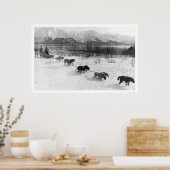 Husky Dog Team Alaska 1918 Poster (Küche)