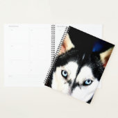 Husky Eyes Planner Planer (Anzeige)
