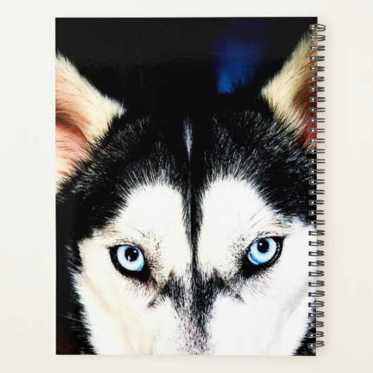 Husky Eyes Planner Planer (Rückseite)
