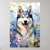 Husky farbige Aquarellbilder Poster (Vorne)