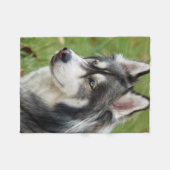 Husky Fleecedecke (Vorderseite (Horizontal))