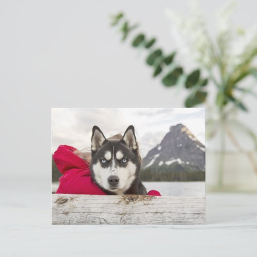 Husky-Gebirge Postkreuz Postkarte (Stehend Vorderseite)