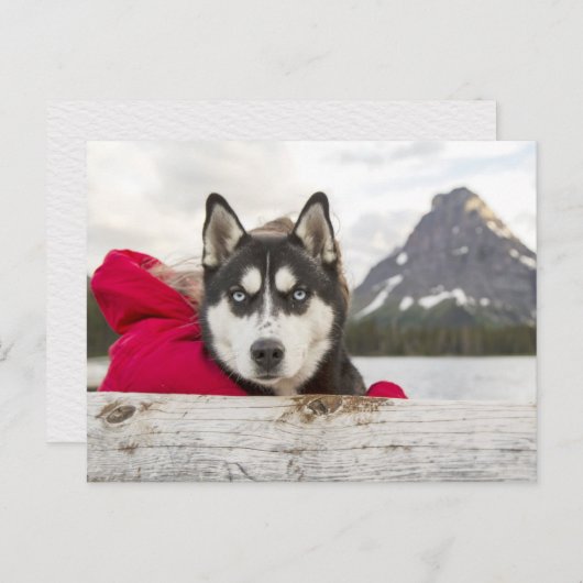 Husky-Gebirge Postkreuz Postkarte (Vorne/Hinten)