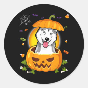Husky-Geschenk   Halloween Dog Hexe Pumpkin Husky Runder Aufkleber