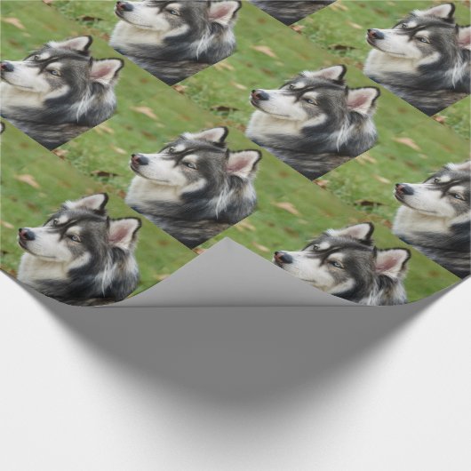 Husky Geschenkpapier (Ecke)