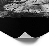 Husky Gesicht Niedlich Hund Lover Men Frauen Schwa Poster (Ecke)