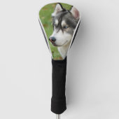 Husky Golf Headcover (Vorderseite)
