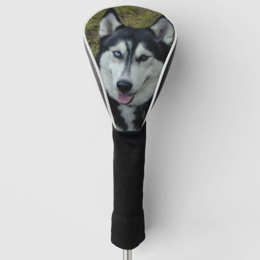 Husky-Golfclub-Abdeckung Golf Headcover (Vorderseite)