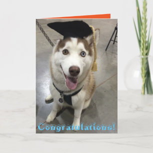 Husky graduated class karte