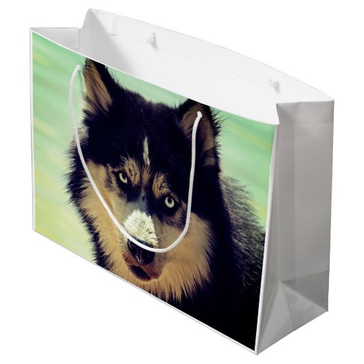 Husky Große Geschenktüte (Rückseite Schrägansicht)