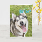 Husky Happy Birthday Card Hund Karte (Gelbe Blume)
