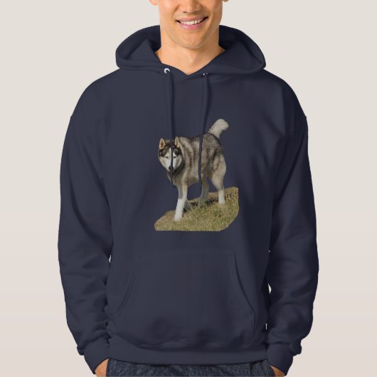 Husky-Hund Hoodie (Vorderseite)