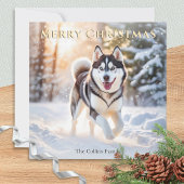 Husky Hund im Winter Schnee frohe Weihnachten