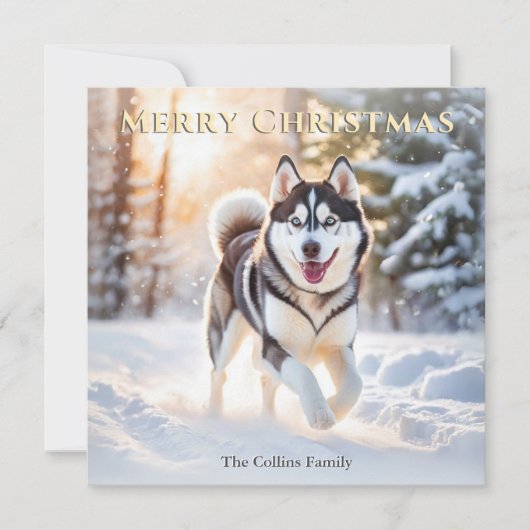 Husky Hund im Winter Schnee frohe Weihnachten (Vorderseite)