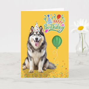 Husky Hund in einem Partyhut auf gelben Geburtstag Karte
