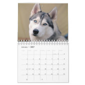 Husky-Hund - Kalender 2023 (Jan 2027)