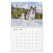 Husky-Hund - Kalender 2023 (Feb 2027)
