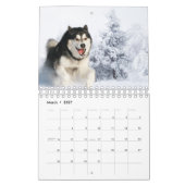 Husky-Hund - Kalender 2023 (Mär 2027)