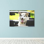 Husky-Hund Leinwanddruck (Insitu (Holzboden))