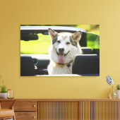 Husky-Hund Leinwanddruck (Insitu (Wohnzimmer))