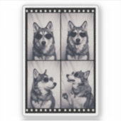Husky-Hund-Porträt Aufkleber (Vorderseite)