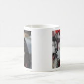 Husky Hund vor dem Rennen, Kanada Kaffeetasse (Mittel)