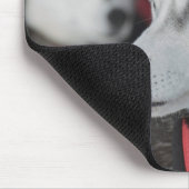 Husky Hund vor dem Rennen, Kanada Mousepad (Ecke)