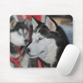 Husky Hund vor dem Rennen, Kanada Mousepad (Mit Mouse)