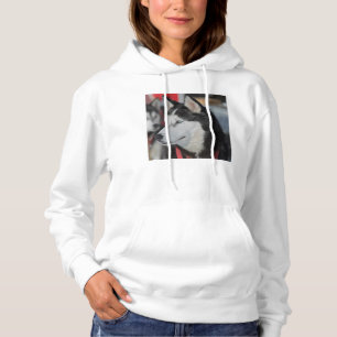 Husky-Hund vor einem Rennen, Kanada Hoodie