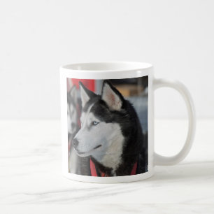 Husky-Hund vor einem Rennen, Kanada Kaffeetasse