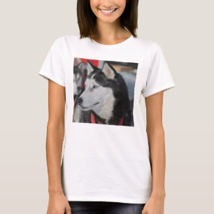 Husky-Hund vor einem Rennen, Kanada T-Shirt