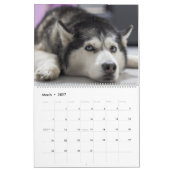 Husky-Hunde feiern - Wandkalender 2027 (Mär 2027)