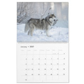 Husky-Hunde feiern - Wandkalender 2027 (Jan 2027)