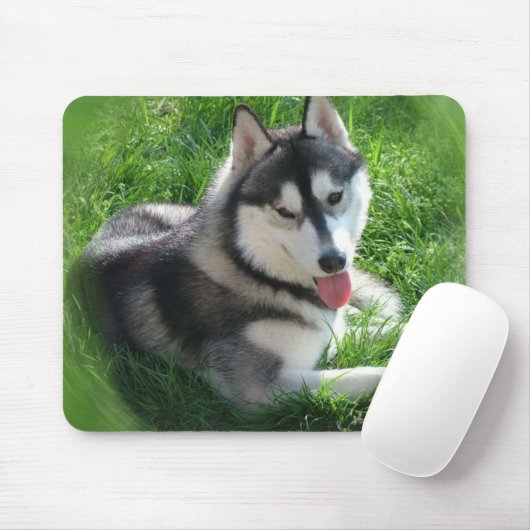 Husky-Hundemausunterlage Mousepad (Mit Mouse)
