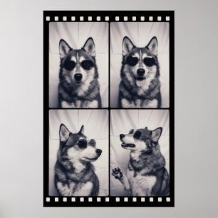 Husky-Hundeporträt Poster