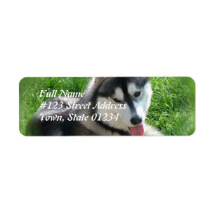 Husky-HundePostsendung-Aufkleber