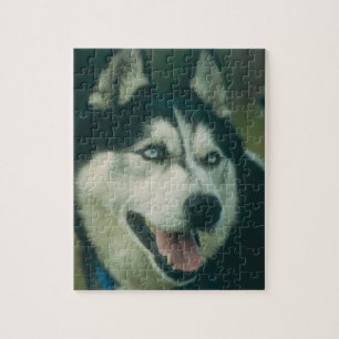 Husky-Hundepuzzlespiel Puzzle