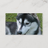 Husky-HundeVisitenkarte Visitenkarte (Rückseite)