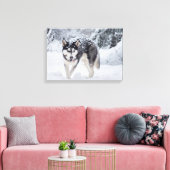 Husky im Schnee Leinwanddruck (Insitu (Wohnzimmer))